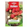 New HALV VILDJORDGUBBAR RAMPISCHEN BLUMEN Fröer & Lökar