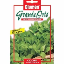 Clearance HALVMARIGOLDSKORT MED ZUCCHERINA BIONDA BLUMEN TRÄDGÅRDSSÅDD Fröer & Lökar