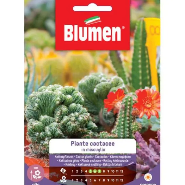 HALVMIX KAKTUSVÄXTER BLOMSTER TRÄDGÅRDSSAMT SÄDESÄTTNINGAR