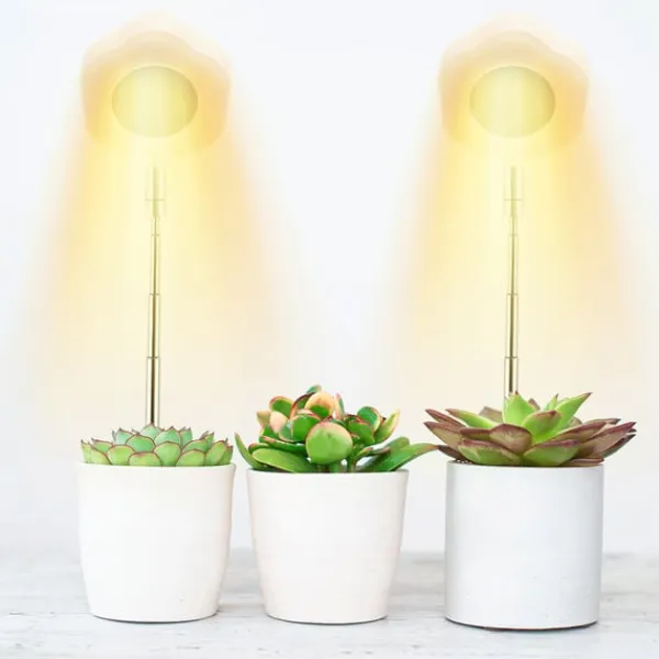 Best Hexagon Grow Lights för inomhusväxter Varm vit/vit Krukväxter Inomhus