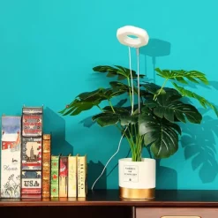 Best Hexagon Grow Lights för inomhusväxter Varm vit/vit Krukväxter Inomhus