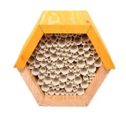 Hexagonal biodla - L 14,6 x l 14,8 x H 12,8 cm