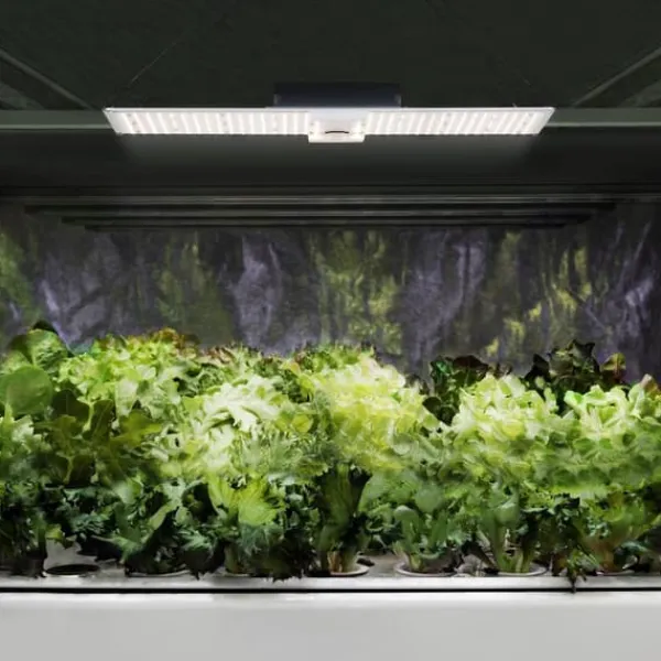 Sale hillvert - Odlingslampa - Fullspektrum - 2,000 W - 468 LED - 20 000 Lumen Kit För Växt- & Örtplantering