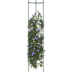 Hållbar tomatbur av stål - Justerbart stöd för växter | Färg: Grön | Storlek: 154 cm | 6 st