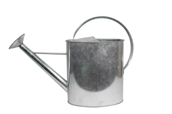 Home it® vattenkanna med sprutare 10 liter galvaniserad