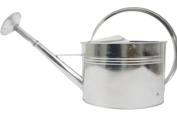 Online Home it® vattenkanna med sprutare 5 liter galvaniserad Bevattning