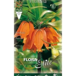 Sale HÖSTBULB VINTERLÅGOR FRITILLARIA AURORA FÖRPACKNING MED 1 BULT BOMBAR BULBER Fröer & Lökar