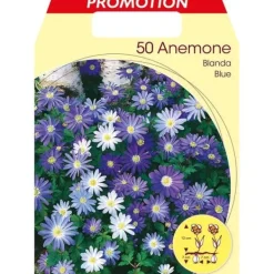 Outlet HÖSTBULBERR ANEMONE BLANDA MIXAD FÖRPACKNING MED 50 BULBER BULBS BULBES Fröer & Lökar