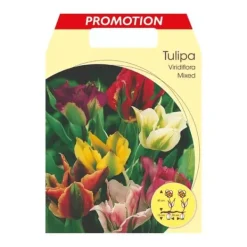 Outlet HÖSTTULPANER VIRIDIFLORA MIX AV FÄRGER FÖRPACKNING MED 20 LÖKAR LÖKAR LÖKAR Fröer & Lökar