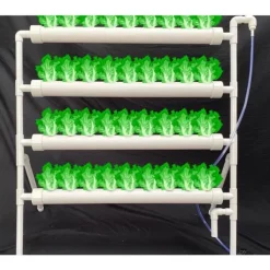Outlet Hydroponiskt odlingskit - Rörsystem i PVC - Med 36 Odlingsplatser - Diameter 32 mm - Storlek 95×45×100 cm - Spänning 220 V/50 Hz - Utan Reservoar Kit För Växt- & Örtplantering