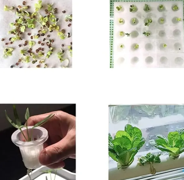 Online Hydroponiskt odlingssystem - Inomhus odlingskit - 36 odlingsplatser - 2 nivåer - För örter och grönsaker - Vit Kit För Växt- & Örtplantering