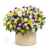 INN Butterfly Flower Seeds 398 Blomsterfrön Blomningstid 6-8 månader Blomfrön Prydnadsblommor Blomfrö
