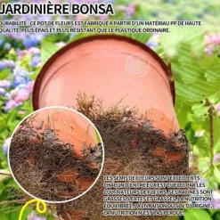 Online INN Hortensior 3st 9cm Lövfällande buske Perenn växt Hortensia Trädgård Hemmakontor Trädgårdsdekoration Bonsaiväxter Trädgårdsväxter