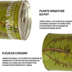 INN Seeds Timjan Frölådor Creative Mini krukväxter Burk frön 9x6,5 cm Bur Boxed Plant Plant Kit