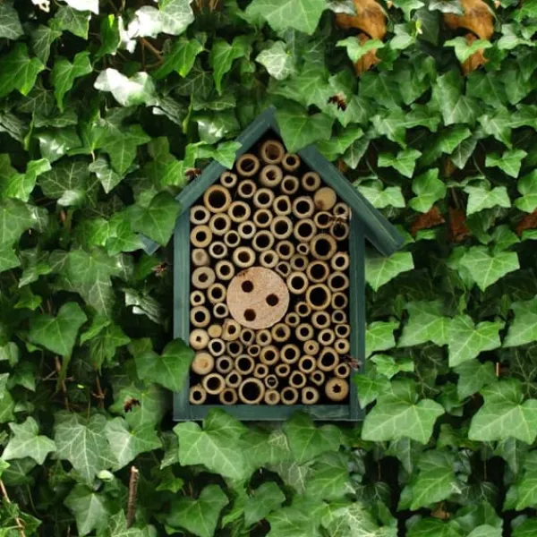 Best Insekthotell, 20x17x8,5 cm, Grön För Fåglar & Småvilt