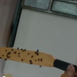 Hot Insektsfälla - YWEI - INSEKTALAMPAN - Gul - 4 rullar - Miljövänlig Flugsmällor