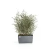 Jardinière Paris 80 Blå Grå - 80 x 38 x H. 40 cm - 100 L