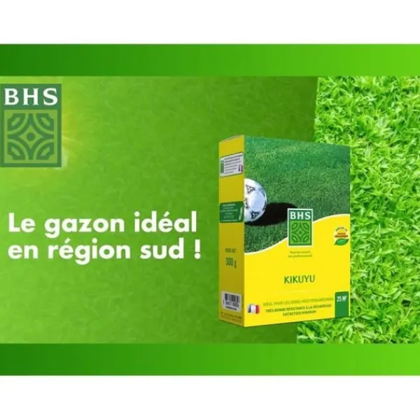 Clearance Kikuyu - BHS - 300 g | 25 m² | Medelhavsområdena | Resistent mot hög värme och trampning. Fröer & Lökar