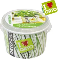 KIT ORTOLINO GRÖNMAJG PREZZEMOLO VERDEMAX TRÄDGÅRD FRÖ I KÖKET GÖR DET SJÄLV BÄRBAR Kit För Växt- & Örtplantering