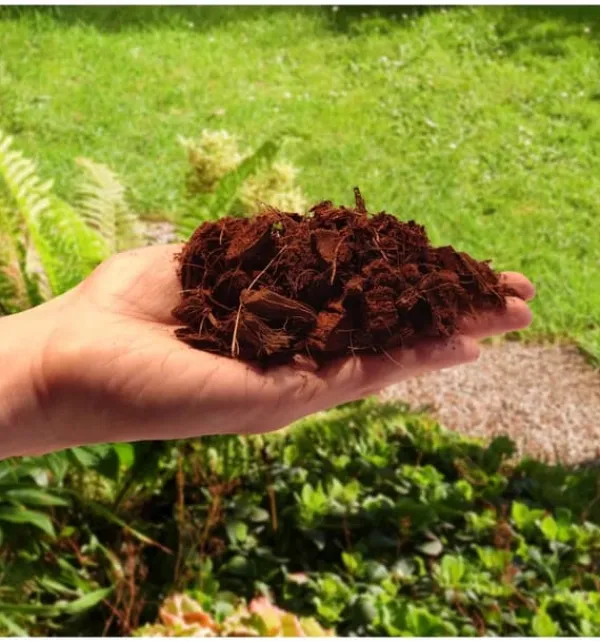 New Kokosfiberchips Kokoschips COCO PEAT 10 MM 5L Jord & Sand