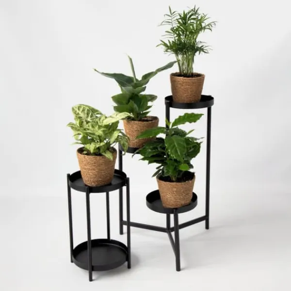 Krukväxtset i dekorativ korg - Set med 4 - Höjd 25-40cm - ⌀12cm