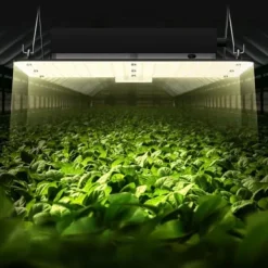 LED Växtlampa, Fullspektrum Dimbar 150W, 30x40x12 cm, För inomhusodling av växter