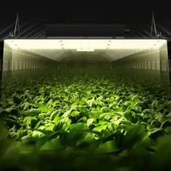 LED Växtlampa, 200W Full Spektrum Dimbar, Hög Avkastning Samsung Dioder för Inomhusodling, Fröplantor och Blomning.