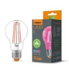 Online LED-lampa för växtodling VIDEX-E27-A60-8W-FITO Kit För Växt- & Örtplantering