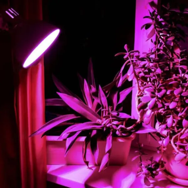 Online LED-lampa för växtodling VIDEX-E27-A60-8W-FITO Kit För Växt- & Örtplantering