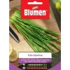 LÖKGRÄSFRÖN BLUMEN