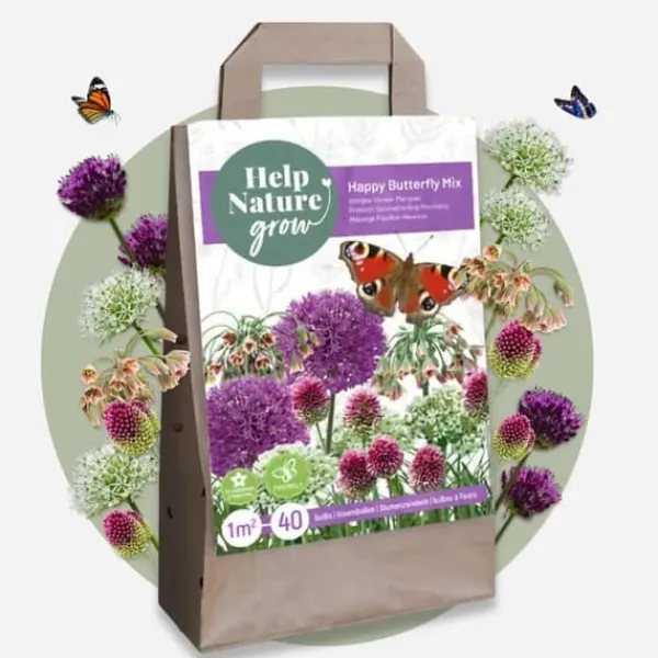 Lycklig fjäril - Set om 40 - Allium, Nectaroscordum - Blomlökar - Flerfärgad