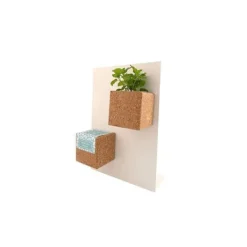 Outlet Magnetisk Grow Cube Pansy Kit För Växt- & Örtplantering