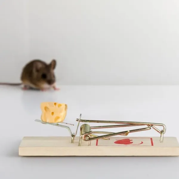 Online Musfälla, Trä, 2x4.5x10 cm, Natur Skadedjursfällor