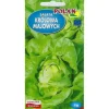 Nasiona Lactuca sativa - äkta sallat (smörhuvudssallat) frö 1g Fröer & Lökar