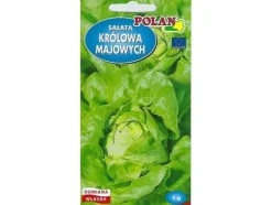 Nasiona Lactuca sativa - äkta sallat (smörhuvudssallat) frö 1g Fröer & Lökar