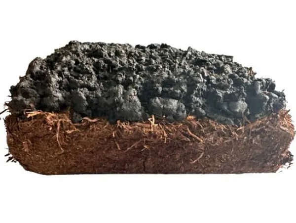 Outlet Odlingskit för bruna svampmycelium 20 kg bal 3-fas substrat Kit För Växt- & Örtplantering