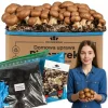 Odlingskit för bruna svampar, mycel, 5 kg, hemmaodling + gratis