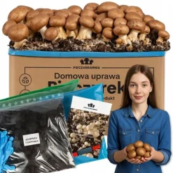 Odlingskit för bruna svampar, mycel, 5 kg, hemmaodling + gratis