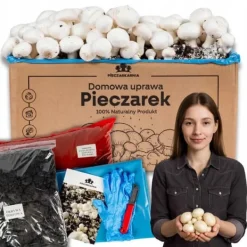 Online Odlingskit för svampmycelium 8 kg, instruktioner för hemmaodling + gratis gåva Kit För Växt- & Örtplantering