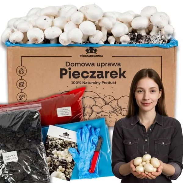 Online Odlingskit för svampmycelium 8 kg, instruktioner för hemmaodling + gratis gåva Kit För Växt- & Örtplantering