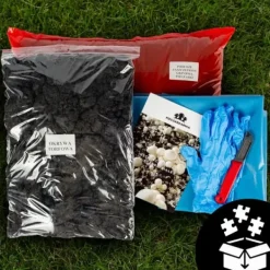 Online Odlingskit för svampmycelium 8 kg, instruktioner för hemmaodling + gratis gåva Kit För Växt- & Örtplantering