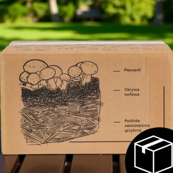 Online Odlingskit för svampmycelium 8 kg, instruktioner för hemmaodling + gratis gåva Kit För Växt- & Örtplantering