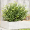 Odlingslåda i massiv furu 80x80x23 cm - Perfekt för blommor och växter | Färg: Vit | Storlek: 80x80x23 cm