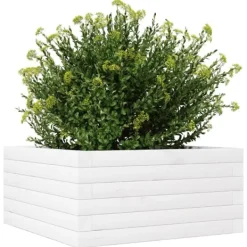 Best Odlingslåda i massiv furu - Perfekt för blommor och växter | Färg: Vit | Storlek: 50x50x23 cm Blommor