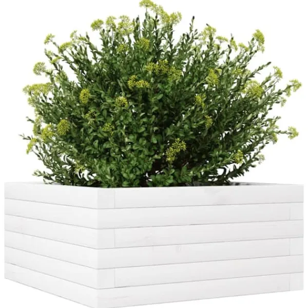 Best Odlingslåda i massiv furu - Perfekt för blommor och växter | Färg: Vit | Storlek: 50x50x23 cm Blommor