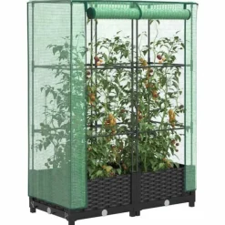 Outlet Odlingslåda med växthusöverdrag rottinglook 80x40x123 cm Växthus