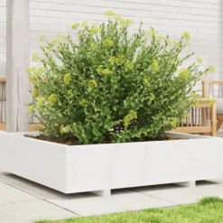vidaXL Odlingslåda vit 100x100x26,5 cm massiv furu