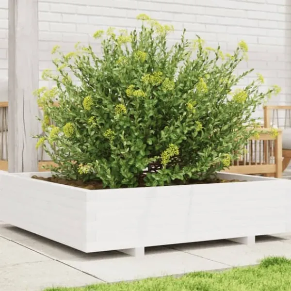 vidaXL Odlingslåda vit 100x100x26,5 cm massiv furu