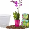 Clearance Orkidéjordset med kruka 1,1 L Kit För Växt- & Örtplantering