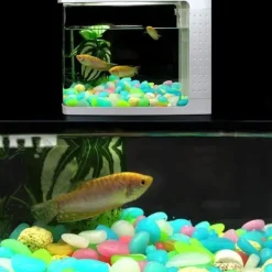 200-pack flerfärgad akvarium ljusa småsten, fluorescerande småsten för stigar, utomhus, akvarium dekoration, trädgård 21
